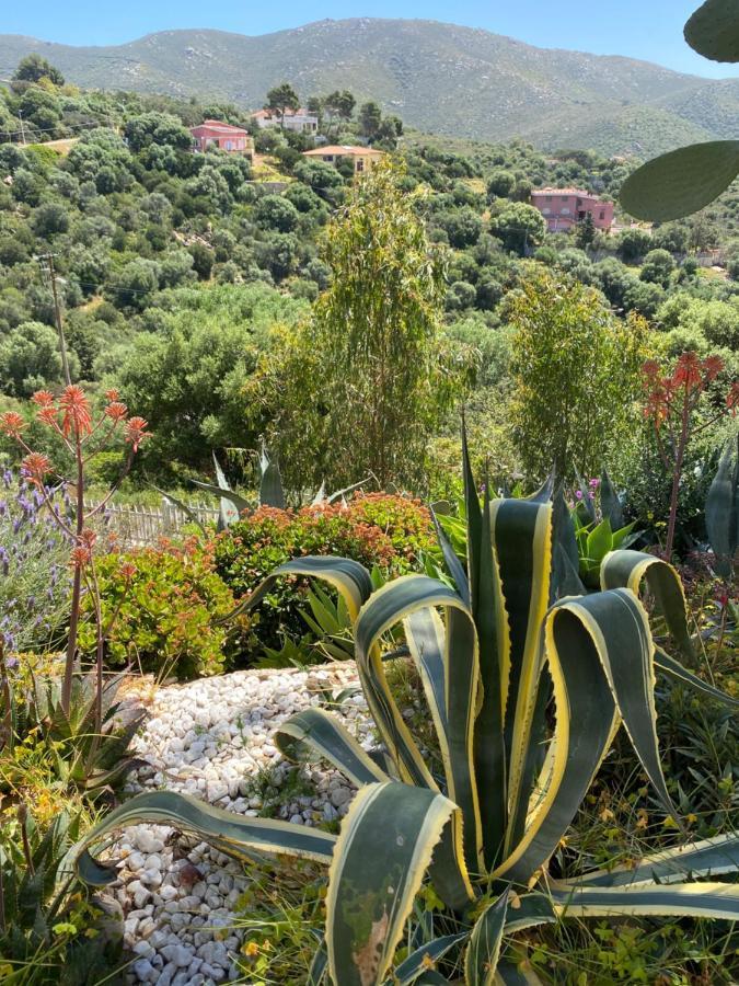 Villa Bella Salmagi - Surya Sardinia Holidays & Yoga Capitana Exterior foto